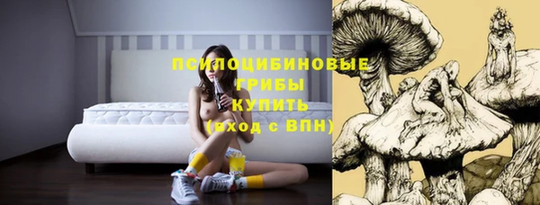 ГАЛЛЮЦИНОГЕННЫЕ ГРИБЫ Красноперекопск