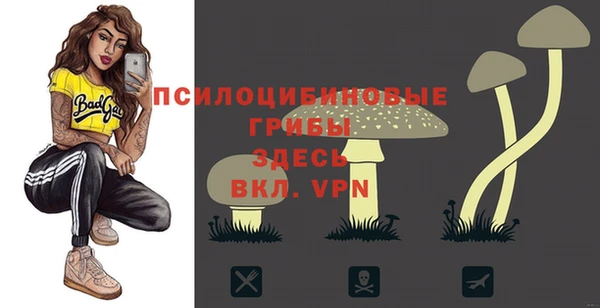 дурь Алексин