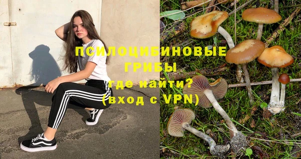 хмурый Абдулино