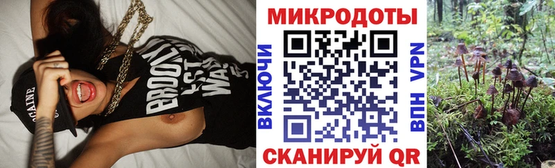 Псилоцибиновые грибы Cubensis  Мостовской 
